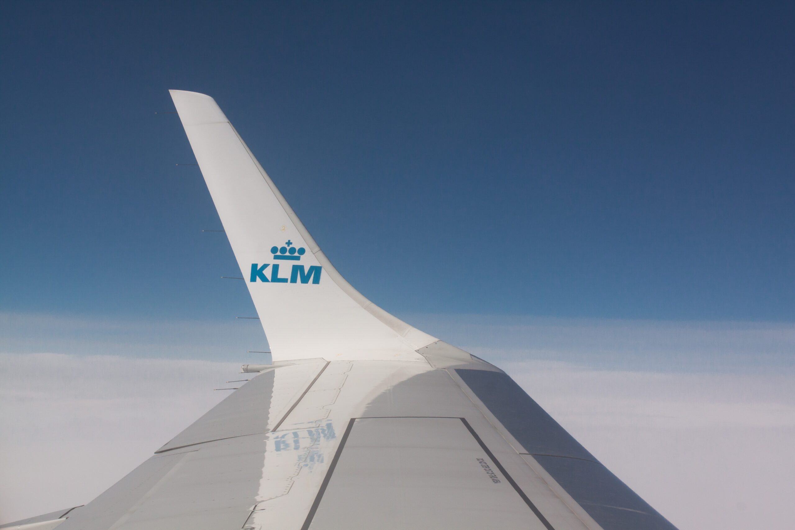 wing